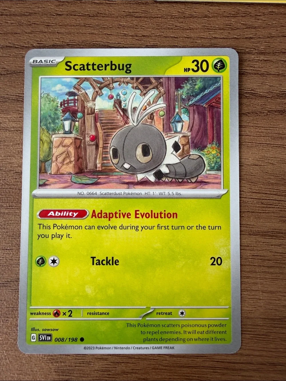 🐛 Bug Pokémon Card Lot | Yanma Ariados Scatterbug Grubbin ✨5/$25✨